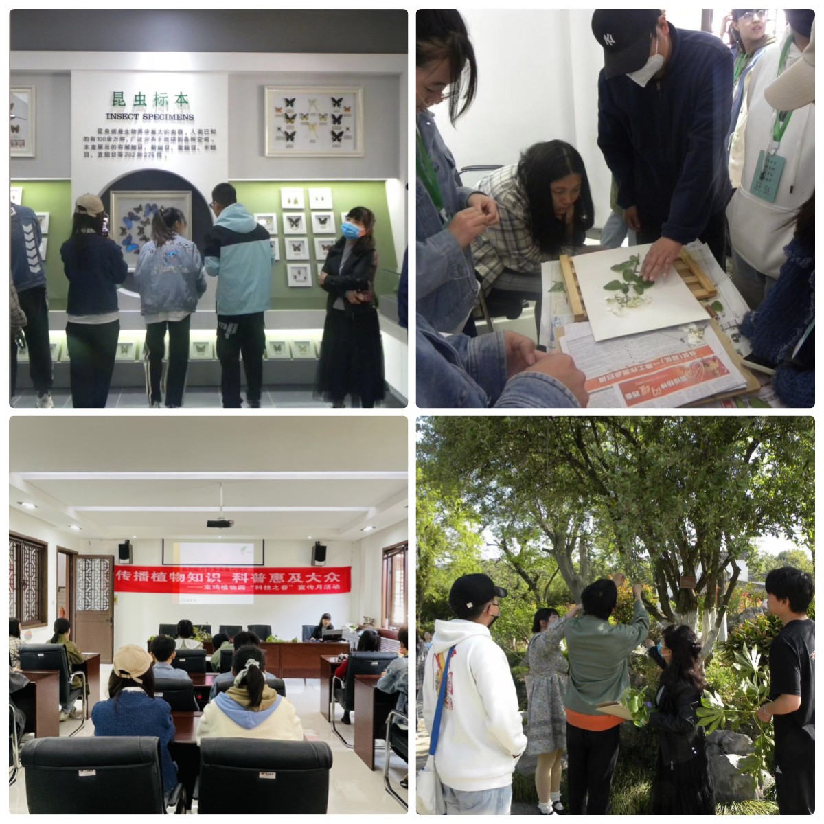 学院组织学生赴宝鸡市植物园参观学习 学院组织学生赴宝鸡市植物园参观学习