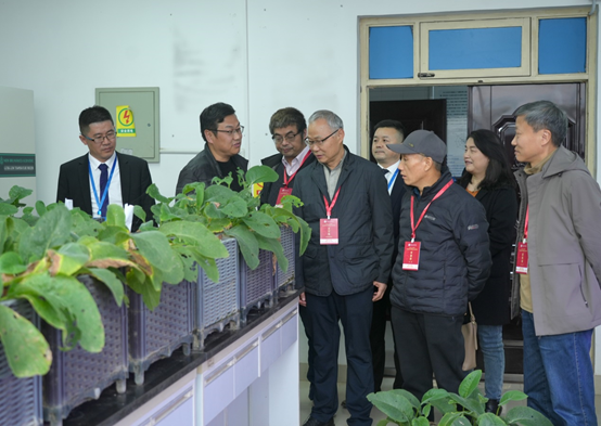 1733468141172945.png 1733468141172945.png