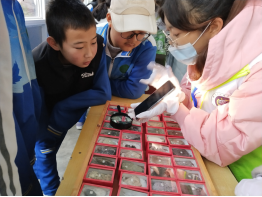 1630915646125074.png image.png